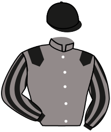casaque portée par Hardouin E. jockey du cheval de course PISORNO, information pmu ZETURF