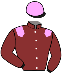 casaque portée par Cormy N. jockey du cheval de course HELIOT DES LANDES, information pmu ZETURF