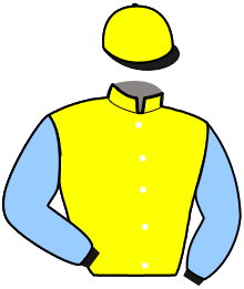 casaque portée par Thomain D. jockey du cheval de course JUDGE D., information pmu ZETURF