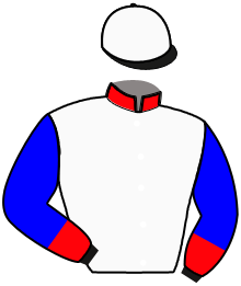 casaque portée par Stefani M. jockey du cheval de course GOLFO D'ESI, information pmu ZETURF