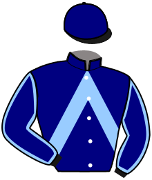 casaque portée par Lebourgeois Y. jockey du cheval de course IXELLE BLEUE, information pmu ZETURF