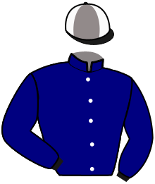 casaque portée par Duvaldestin Théo jockey du cheval de course HEAD OF STATE, information pmu ZETURF