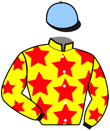 casaque portée par Huchede T. jockey du cheval de course JOLIE AGATHA, information pmu ZETURF