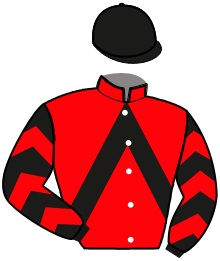 casaque portée par Desmigneux P. jockey du cheval de course INFAILLIBLE, information pmu ZETURF