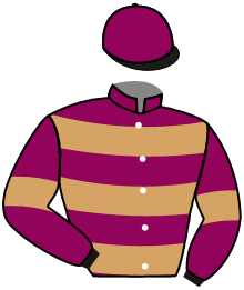 casaque portée par Riou C. jockey du cheval de course LAURIER DE COUGNY, information pmu ZETURF