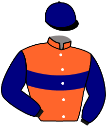 casaque portée par Lestrade B. jockey du cheval de course LANCEZ LES PARIS, information pmu ZETURF