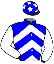 casaque portée par Strang Mme J. jockey du cheval de course INSTAR JOKE, information pmu ZETURF