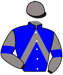 casaque portée par Jarry J. M. jockey du cheval de course HARPER DE BANVILLE, information pmu ZETURF