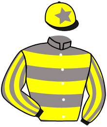 casaque portée par Trolley De Prevaux G. jockey du cheval de course KNUCKLE, information pmu ZETURF