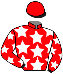 casaque portée par Boisseau L. jockey du cheval de course WOODCHUCK, information pmu ZETURF