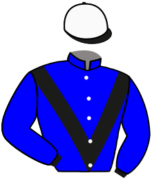casaque portée par D' Andigne O. jockey du cheval de course LOVRAN, information pmu ZETURF