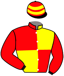 casaque portée par Zuliani L. jockey du cheval de course SELMA DE VARY, information pmu ZETURF