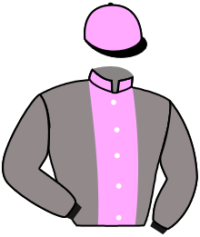 casaque portée par Breton J. B. jockey du cheval de course REVE DE PRINCE, information pmu ZETURF