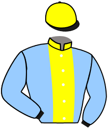 casaque portée par Zuliani L. jockey du cheval de course FICTION DU BERLAIS, information pmu ZETURF
