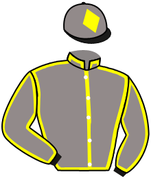casaque portée par Gauffenic N. jockey du cheval de course L'AZIZA DES PLACES, information pmu ZETURF