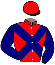 casaque portée par Mayeur R. jockey du cheval de course HEDENN BIHOUE, information pmu ZETURF