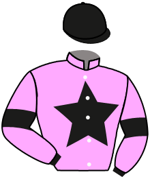 casaque portée par Reveley J. jockey du cheval de course BEST BOWL, information pmu ZETURF