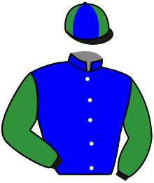 casaque portée par Reveley J. jockey du cheval de course FRAGMENTS OF TIME, information pmu ZETURF