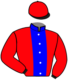 casaque portée par Guarato Adr. jockey du cheval de course JUSTIN DE MARCAY, information pmu ZETURF