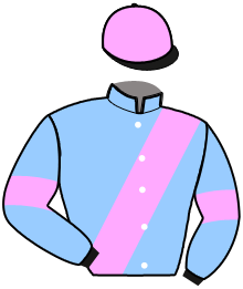 casaque portée par Prat G. jockey du cheval de course KARINE DU RIL, information pmu ZETURF
