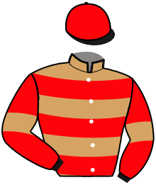 casaque portée par Monclin J. Ph. jockey du cheval de course KARL SPEED, information pmu ZETURF
