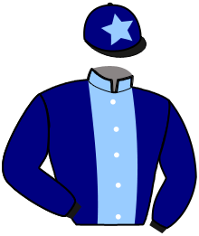casaque portée par Placier O. jockey du cheval de course LYRA DU GRANIT, information pmu ZETURF
