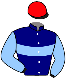 casaque portée par Hardouin E. jockey du cheval de course SLAVA OUKRAINI, information pmu ZETURF