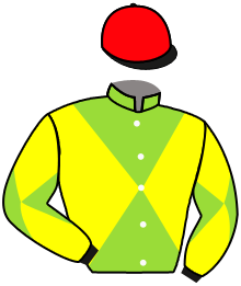 casaque portée par Boisseau L. jockey du cheval de course LASCAUX DU NINIAN, information pmu ZETURF