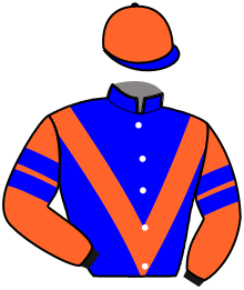 casaque portée par Sias Gio. jockey du cheval de course SKIPPER, information pmu ZETURF