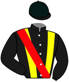 casaque portée par Plommee Léo. jockey du cheval de course QUIZ EVOLUTION, information pmu ZETURF