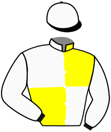 casaque portée par Dubourg K. jockey du cheval de course SALUT DES FLOS, information pmu ZETURF
