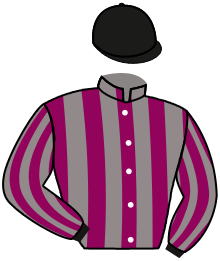 casaque portée par Nabet K. jockey du cheval de course GAME OF STORM, information pmu ZETURF