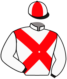 casaque portée par Chevillard T. jockey du cheval de course LE GRAND DOCTEUR, information pmu ZETURF