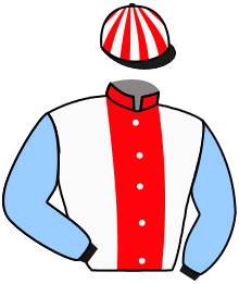 casaque portée par Beaurain T. jockey du cheval de course GRAND DISCOURS, information pmu ZETURF