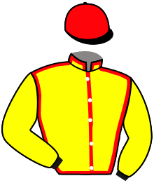 casaque portée par Journiac Tho. jockey du cheval de course ROYAL PALOMA, information pmu ZETURF
