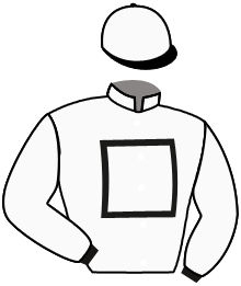 casaque portée par Amodio Ugo jockey du cheval de course GADJO DES ARRACHIS, information pmu ZETURF