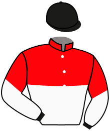 casaque portée par Mouesan H. jockey du cheval de course WILBUR, information pmu ZETURF