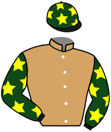 casaque portée par Masure G. jockey du cheval de course VOLCANA DU BERLAIS, information pmu ZETURF