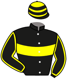casaque portée par Boisseau L. jockey du cheval de course ORPANAMA DAVIS, information pmu ZETURF