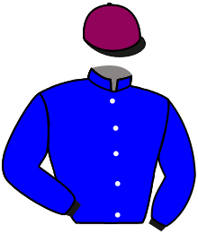 casaque portée par Pouchin A. jockey du cheval de course MONTY, information pmu ZETURF