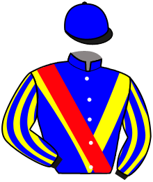 casaque portée par Hardouin E. jockey du cheval de course JOYCE GALESTE, information pmu ZETURF