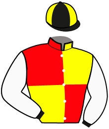 casaque portée par Castel P. jockey du cheval de course LOVELY FAST, information pmu ZETURF