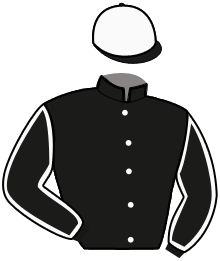 casaque portée par Lebourgeois Y. jockey du cheval de course MEET AND GREET, information pmu ZETURF