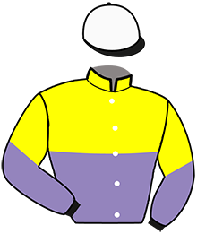 casaque portée par Haret Mlle A. jockey du cheval de course HARSHAM CHEF, information pmu ZETURF