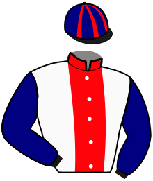casaque portée par Chavatte D. G. jockey du cheval de course MUSE DU LOISIR, information pmu ZETURF