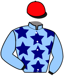 casaque portée par Chavatte J. jockey du cheval de course L'ENVIE D'ENZO, information pmu ZETURF