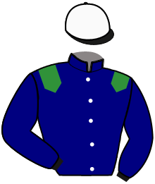 casaque portée par Goetz Lou. jockey du cheval de course LEONARDO TURGOT, information pmu ZETURF