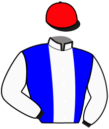 casaque portée par Yvon M. jockey du cheval de course IMHOTEP BUROIS, information pmu ZETURF