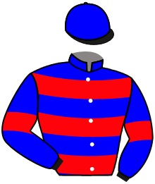 casaque portée par Molins Mme Amb. jockey du cheval de course MR COALVILLE, information pmu ZETURF