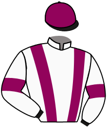 casaque portée par Menges Mme P. jockey du cheval de course EVERILLO, information pmu ZETURF